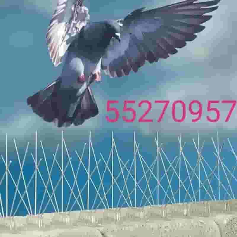 طارد الحمام والطيور
