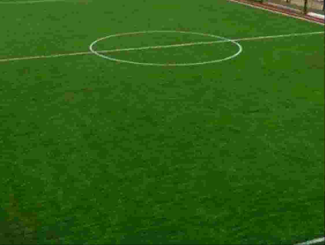 Artificial grass and natural grass 