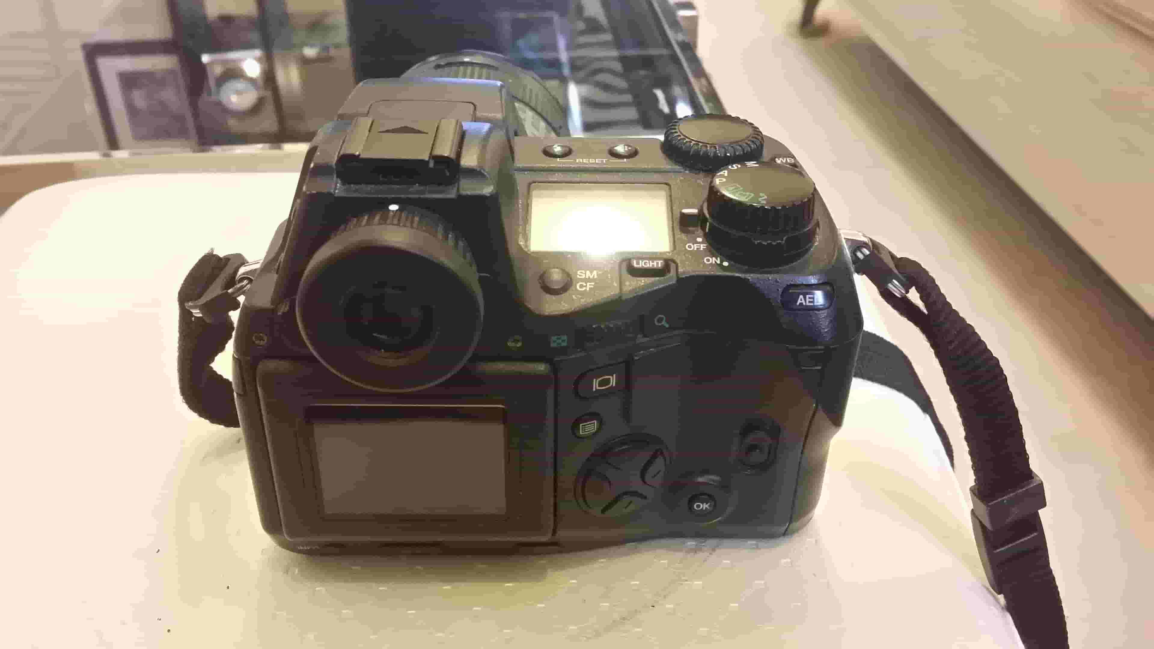 digital camera for professionals