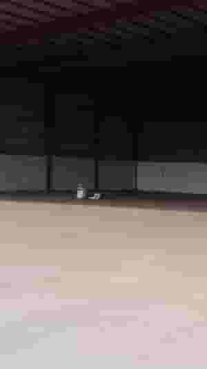 للايجار مخزن 750 متر في بركة العوامر