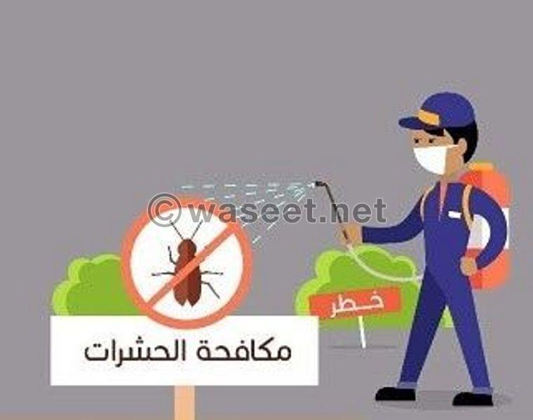 مكافحة الحشرات والتعقيم  3