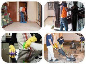 Tanel General Cleaning and Pest Control Company 