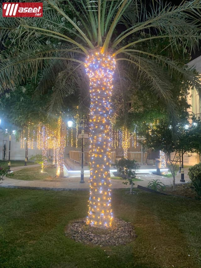 أضواء الزفاف والحفلات