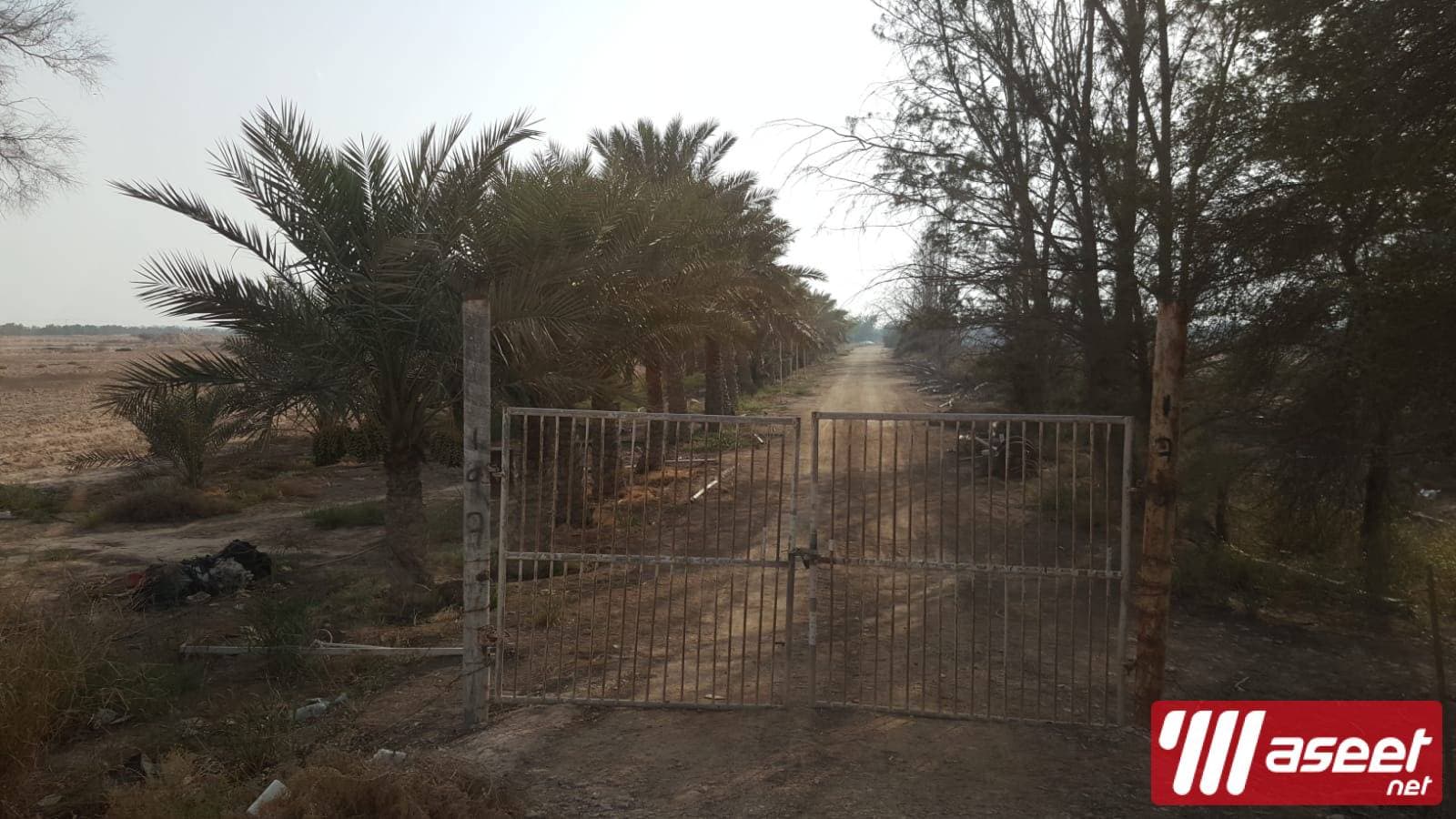 مزرعة للبيع 22000 م بالخور 1