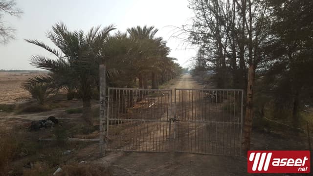 مزرعة للبيع 22000 م بالخور