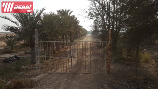 مزرعة للبيع 22000 م بالخور