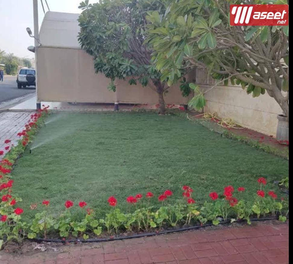 Beautification and cultivation of villas and beautification of fences 1
