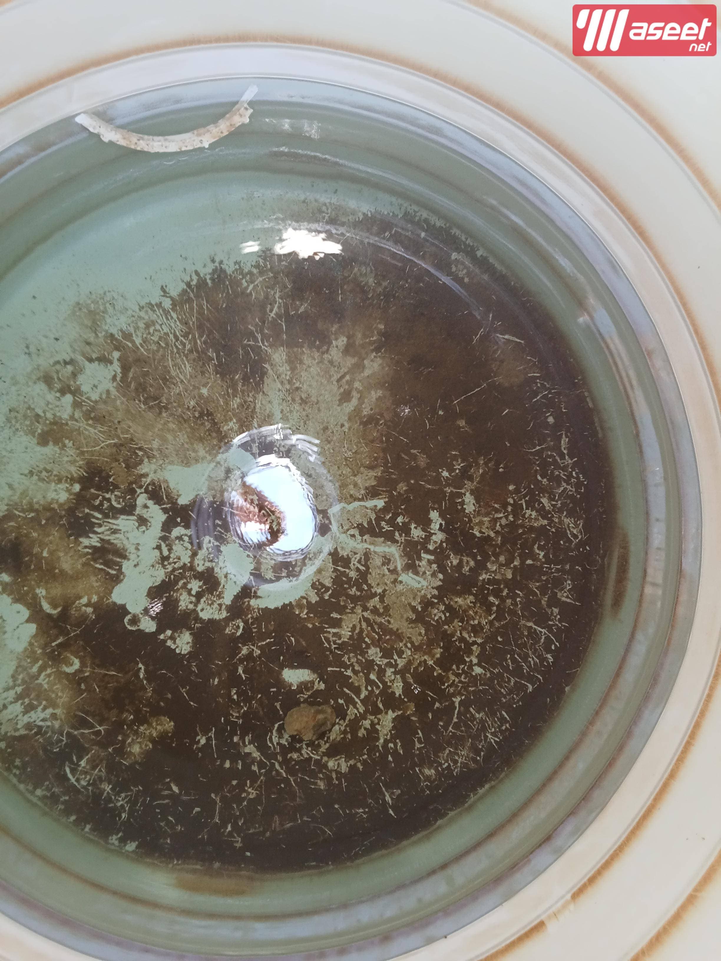 Cleaning water tanks, sterilizing, disinfecting and welding water tanks 3