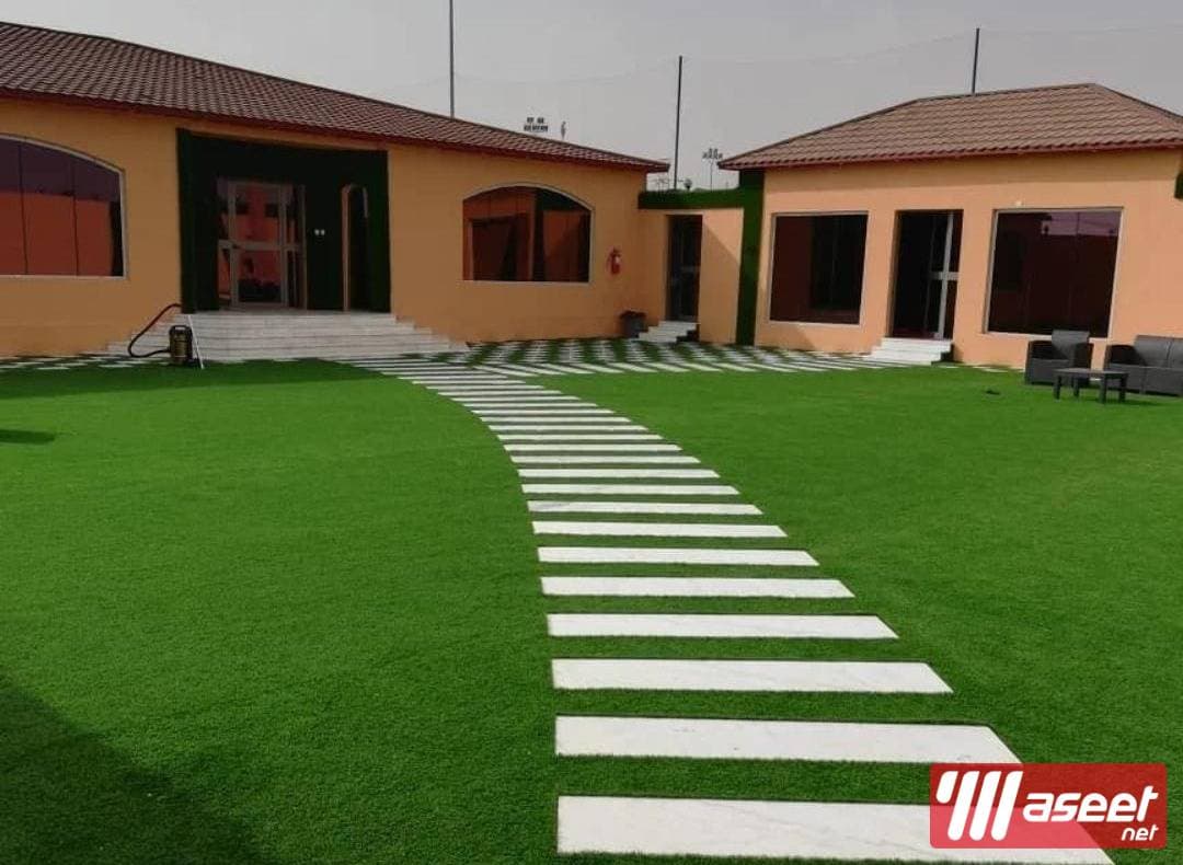 Artificial grass and natural grass  0