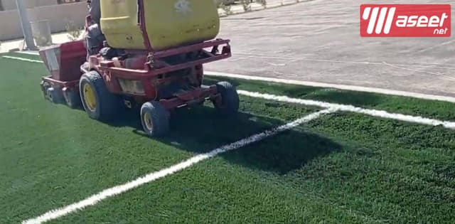 Artificial grass and natural grass 