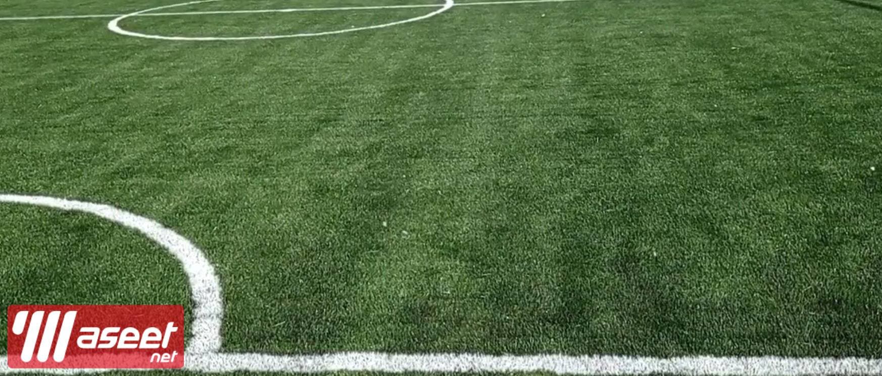 Artificial grass and natural grass  3