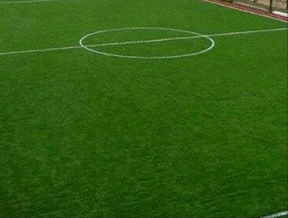 Artificial grass and natural grass  4