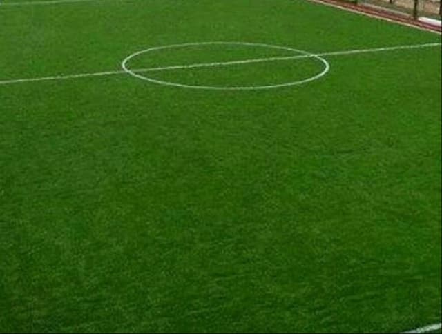 Artificial grass and natural grass 
