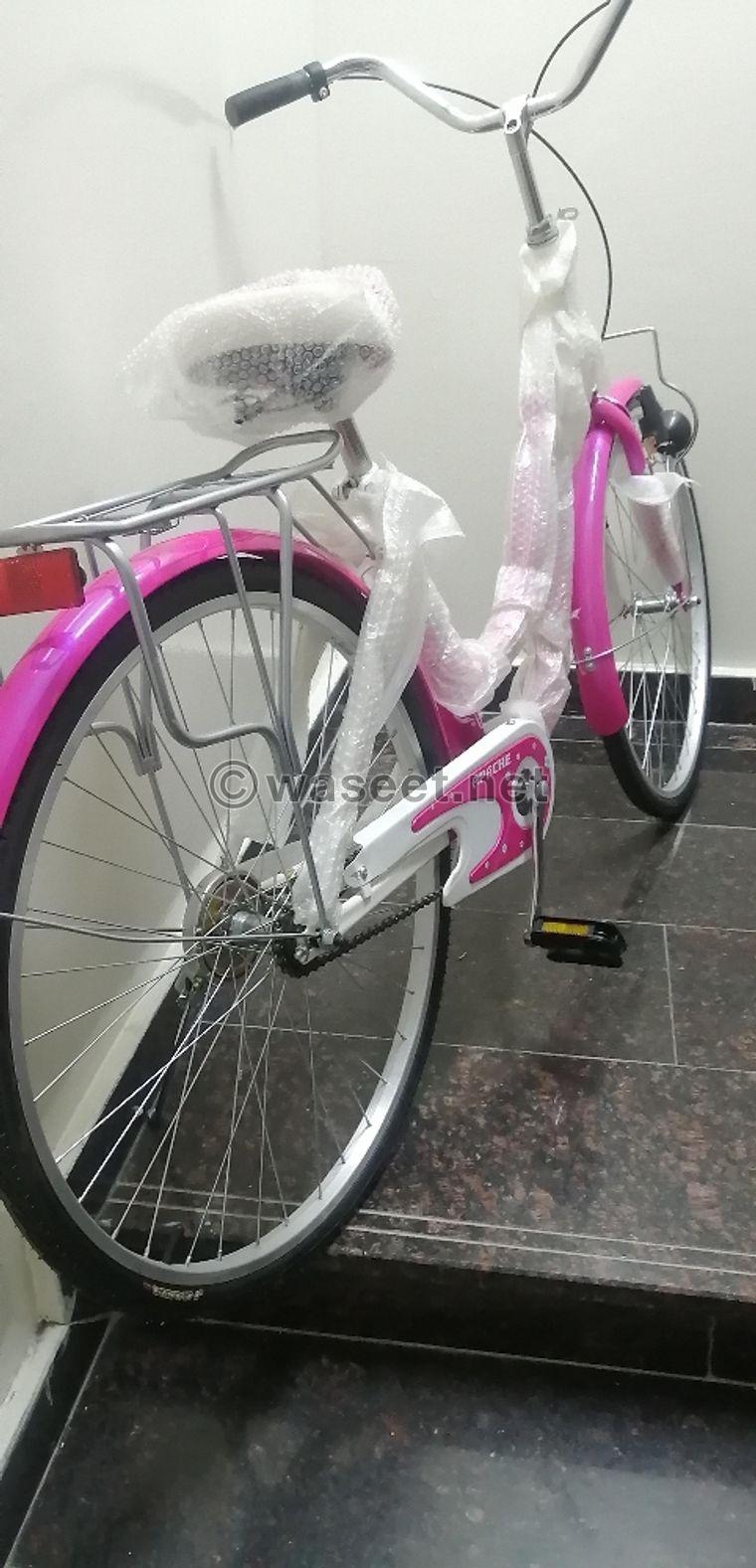 Bicycle built for sale 1
