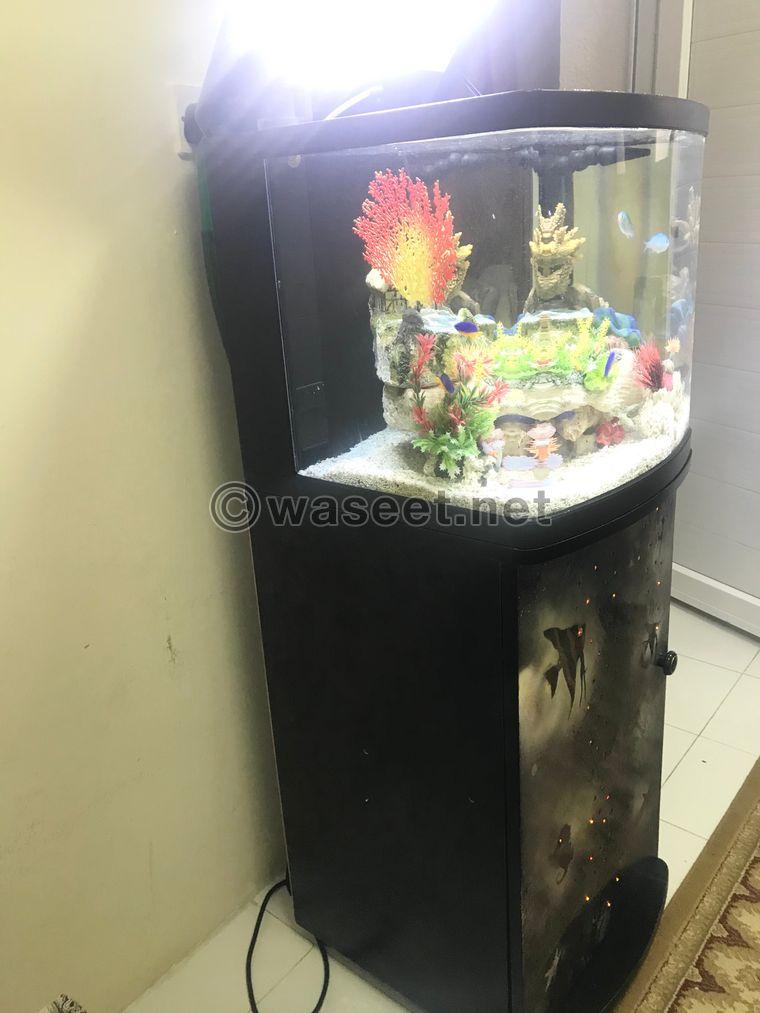 aquarium for sale  2