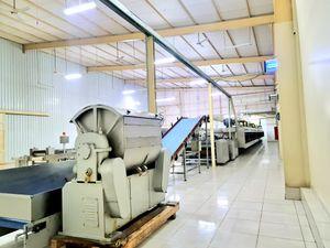 For sale, a food factory with full production capacity 